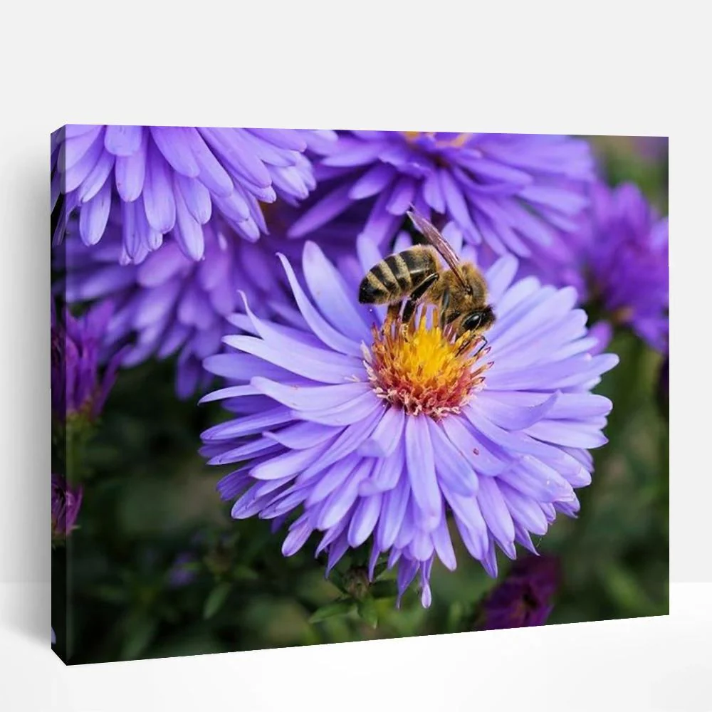 Purple Flower | Paint By Numbers