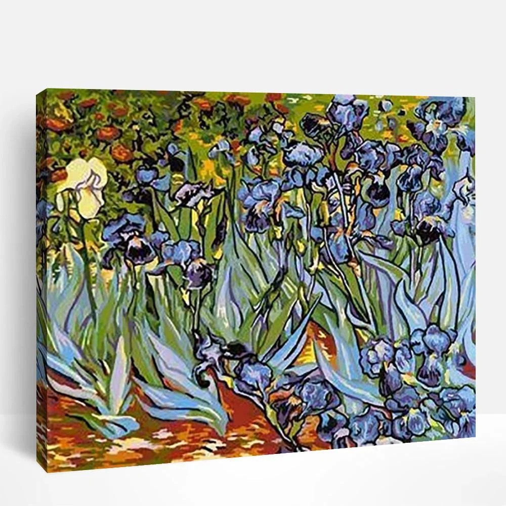 Iris Field | Paint By Numbers