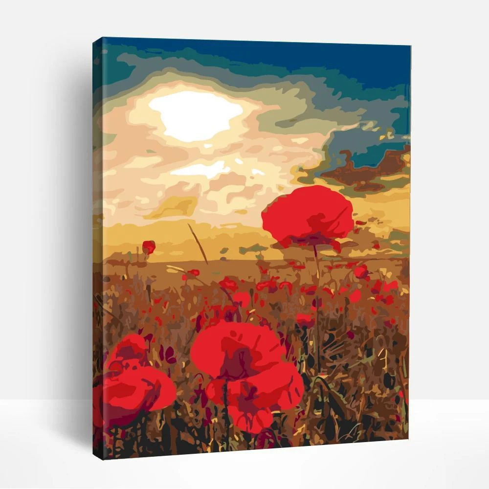 Poppy Field Under Sun | Paint By Numbers