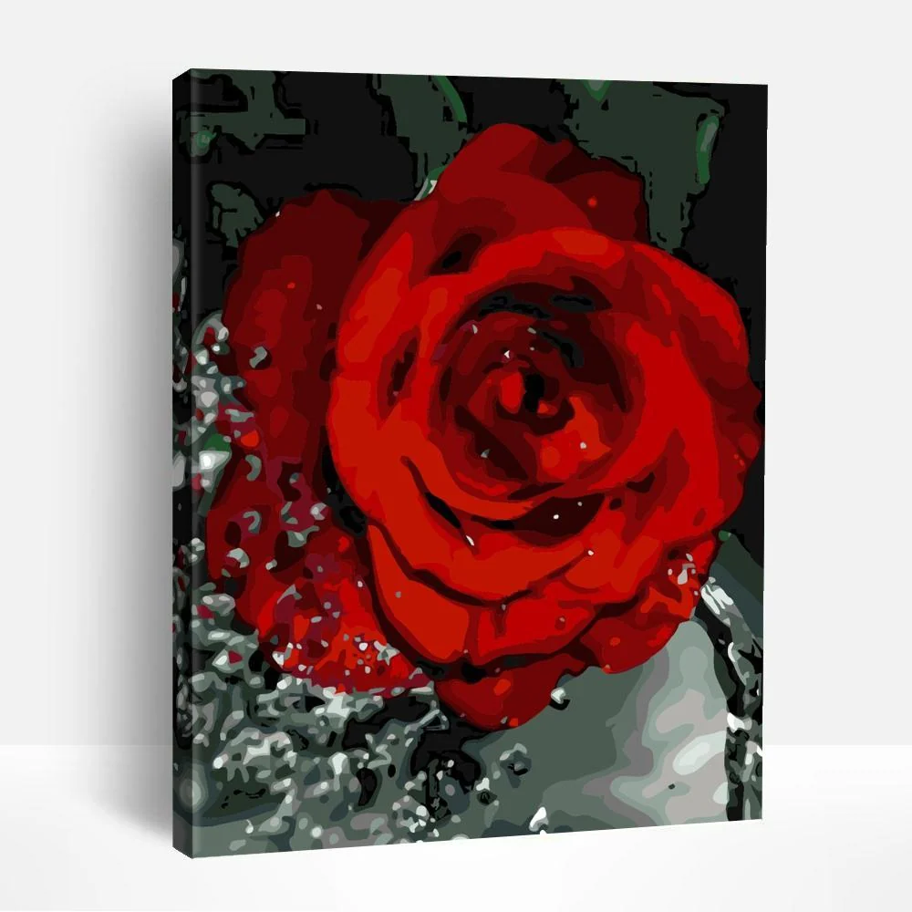 Close-up Rose | Paint By Numbers