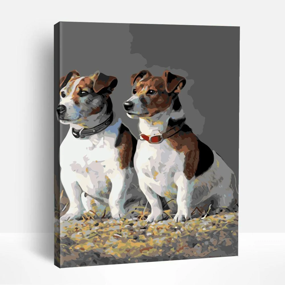 Two Jack Russel Dogs | Paint By Numbers