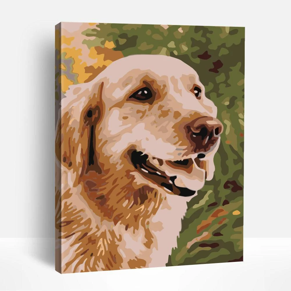 Golden Retriever Smiling | Paint By Numbers