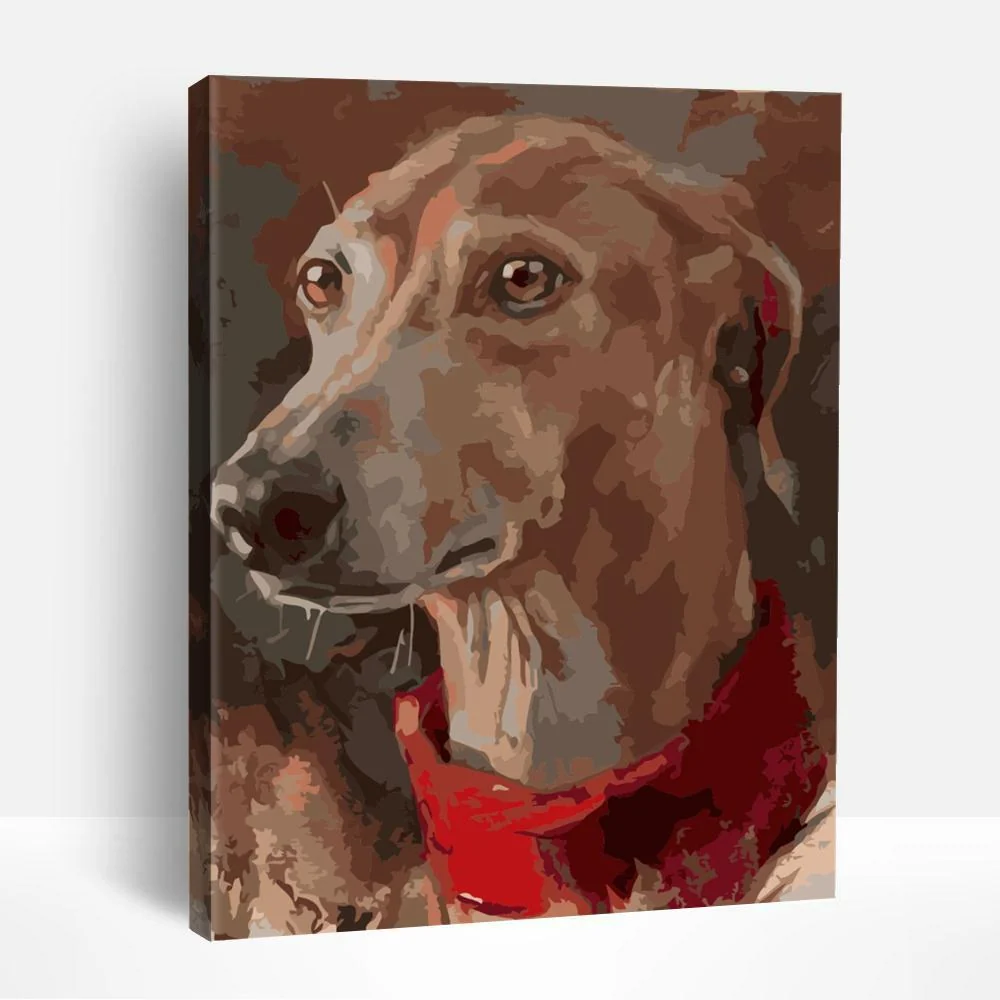 Greyhound | Paint By Numbers