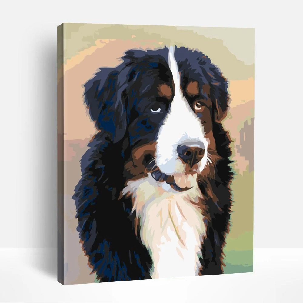 Bernese Mountain Dog Smile | Paint By Numbers