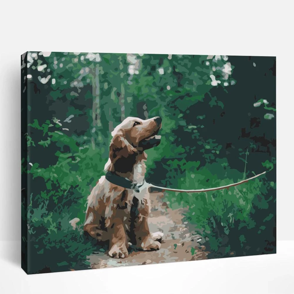 Dog Walking | Paint By Numbers