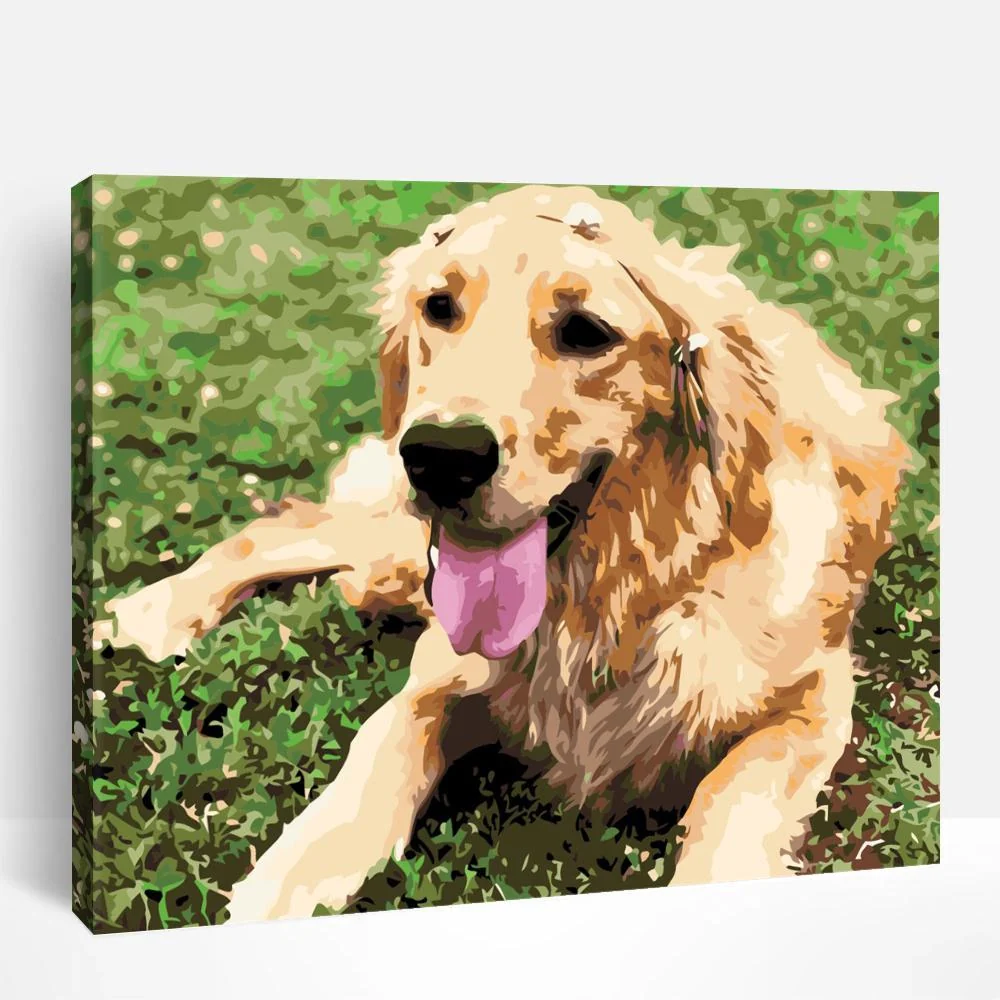 Happy Golden Retriever | Paint By Numbers