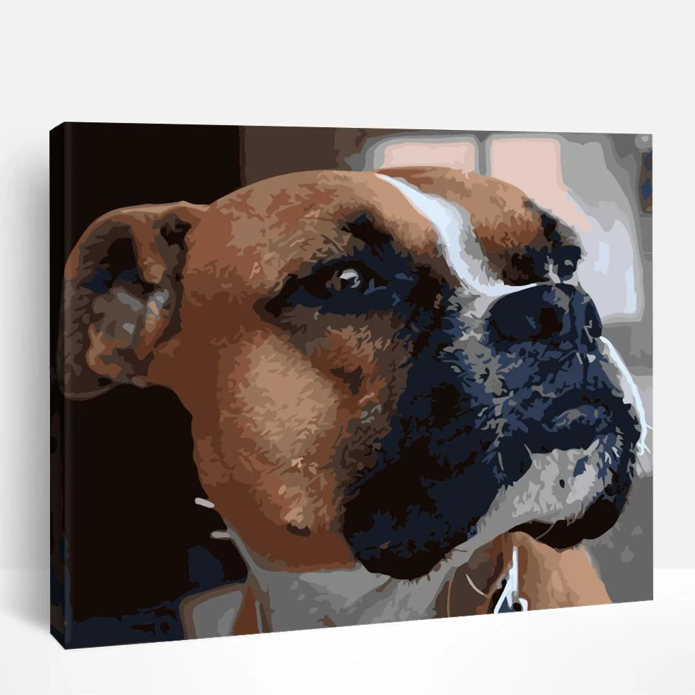Boxer Dog | Paint By Numbers