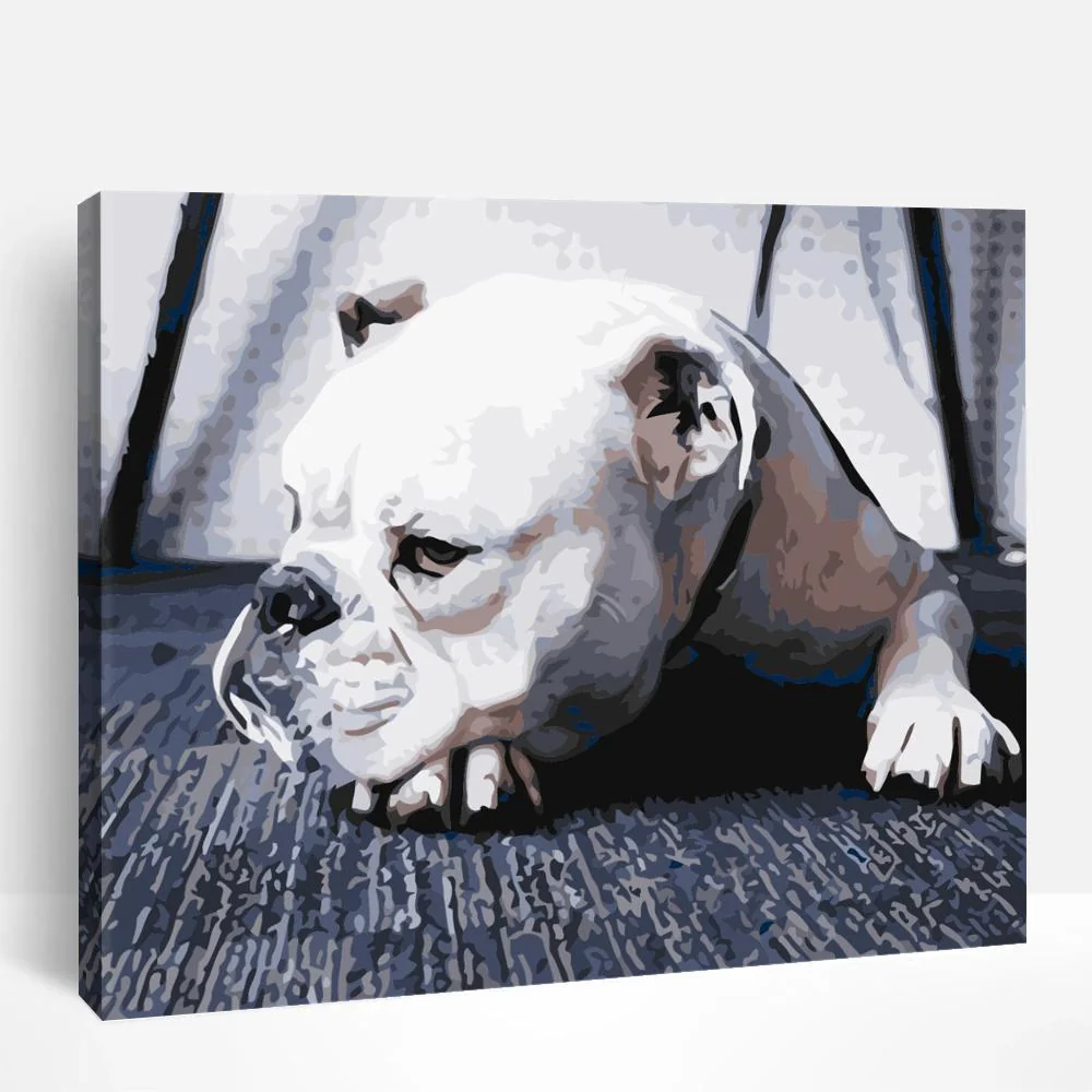 Grumpy Bulldog | Paint By Numbers