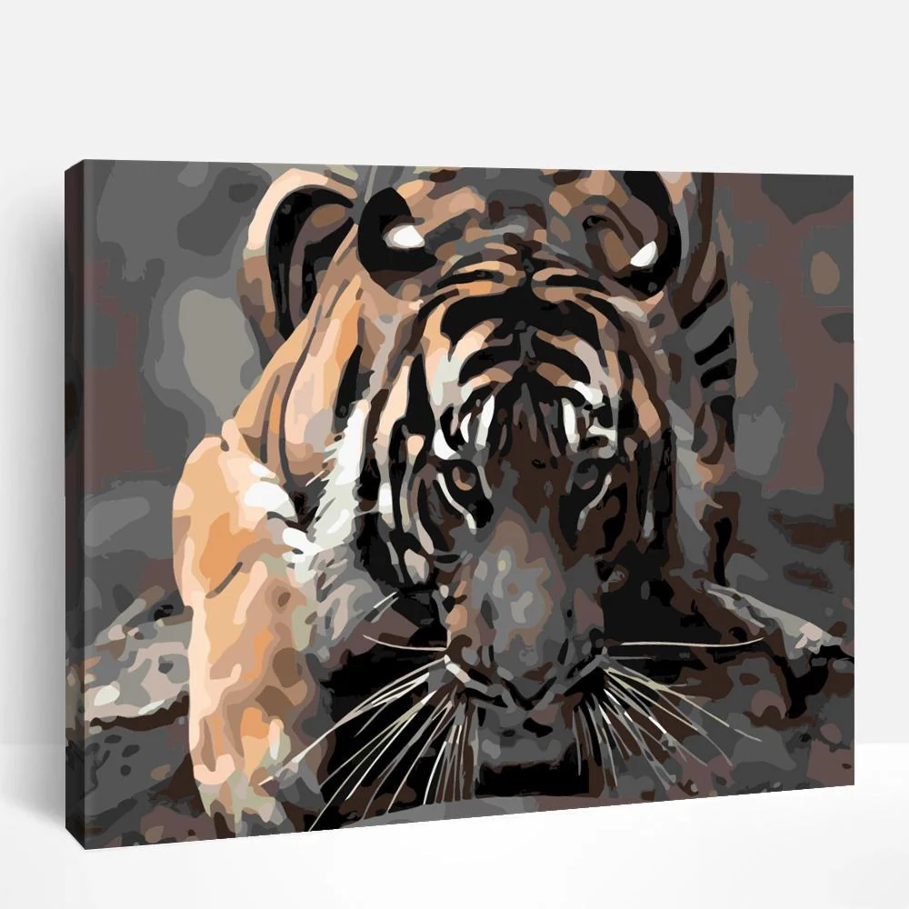Tiger Camouflage | Paint By Numbers