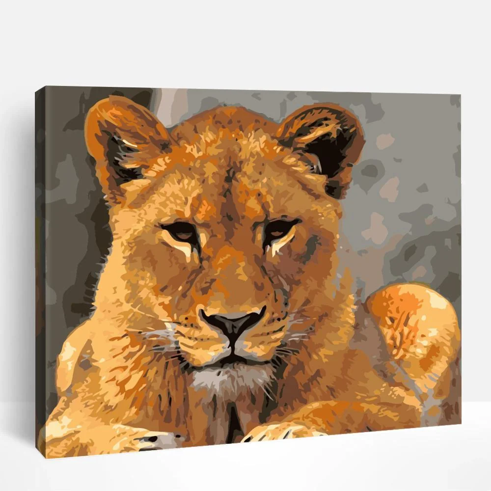 Majestic Lioness | Paint By Numbers