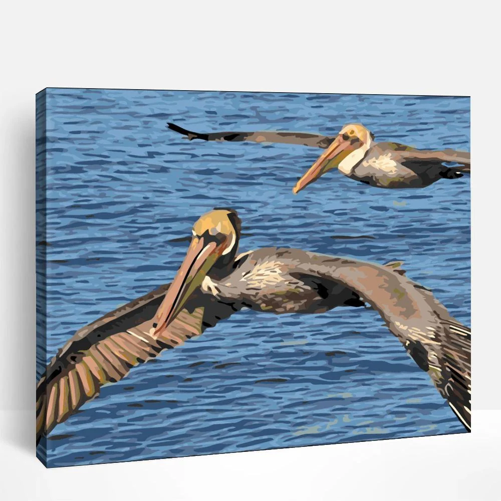 Pelicans in Flight | Paint By Numbers