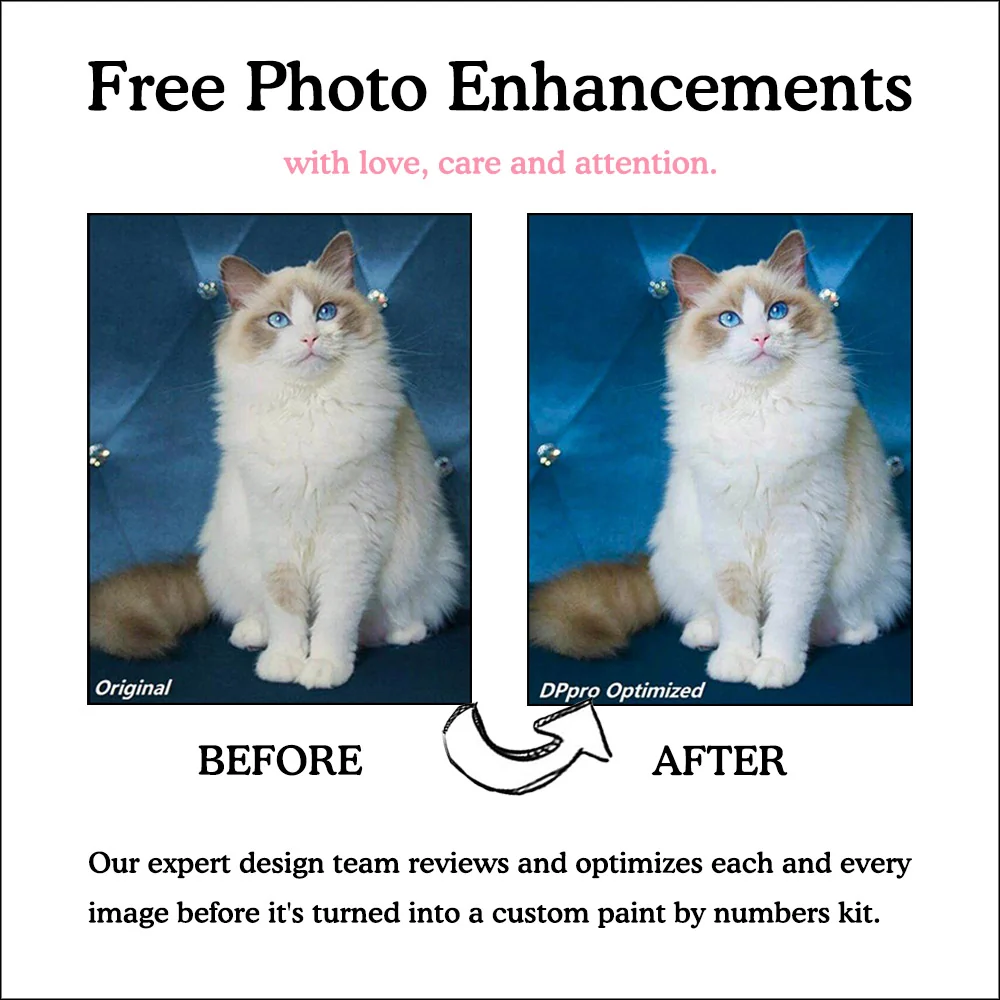 Photo Custom Paint by Numbers | Premium 36 Colors - Image 6