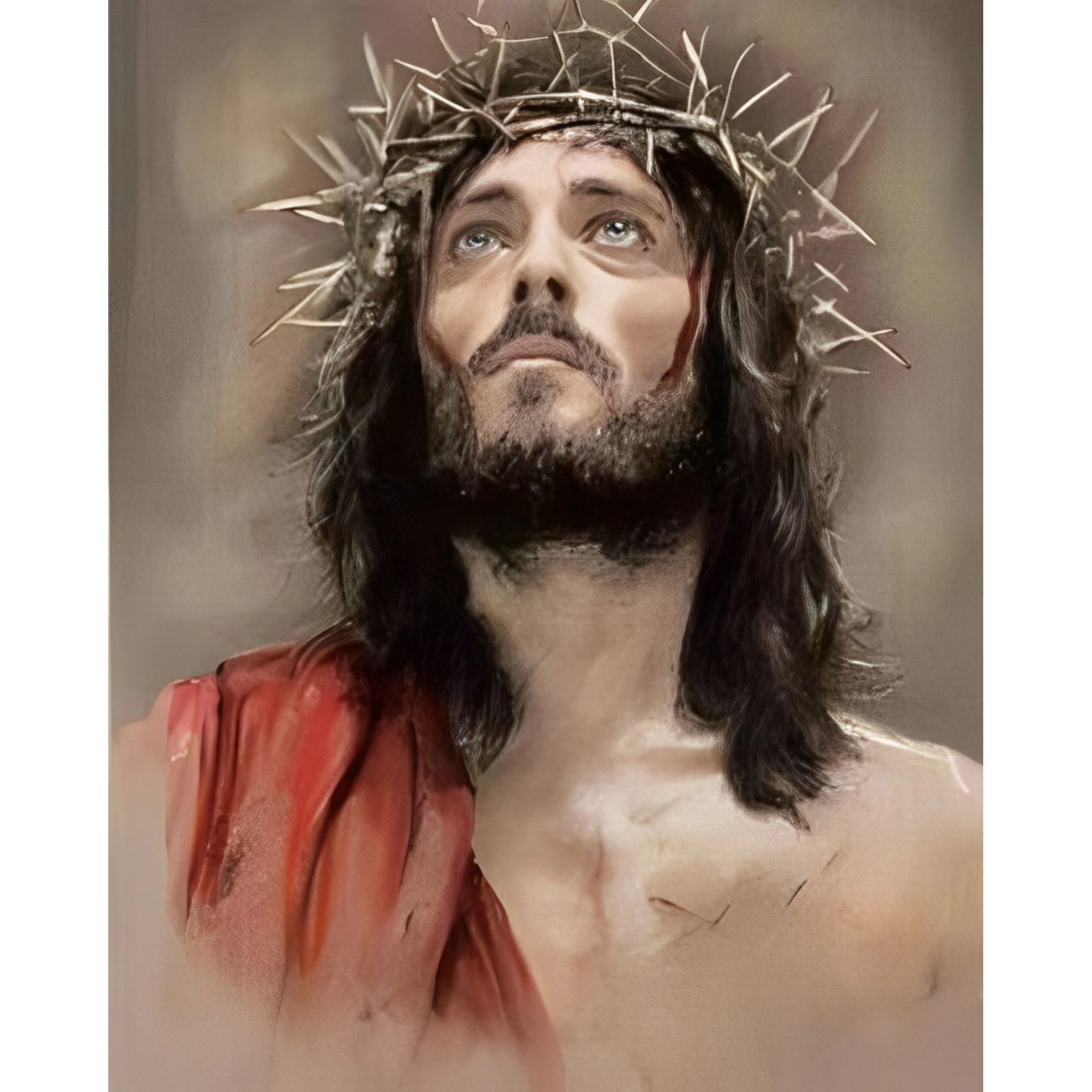 Jesus Crown Of Thorns | Diamond Painting - Image 2